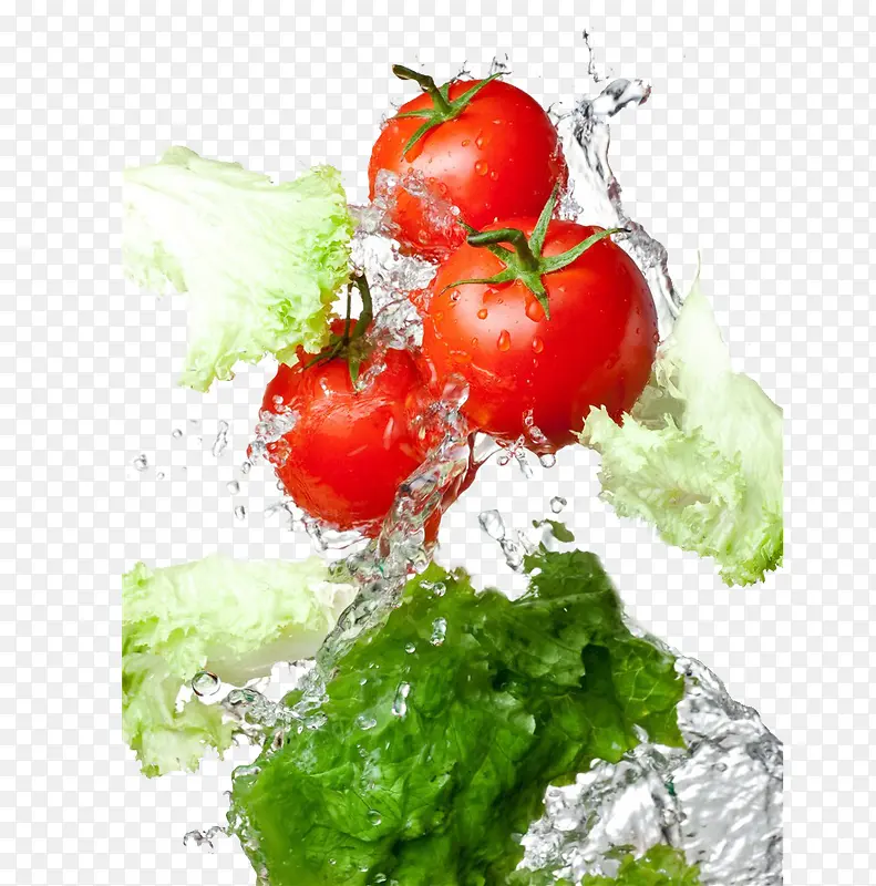 西红柿白菜生菜图片素材