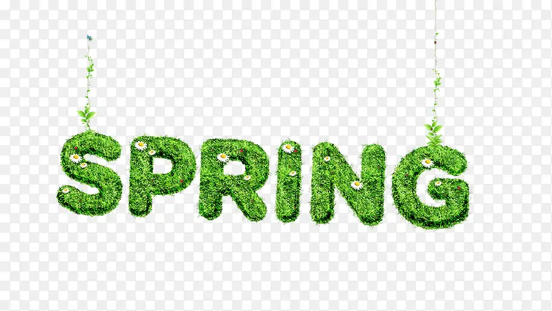 绿色英文spring