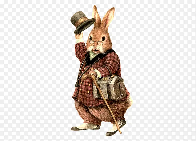 绅士兔子