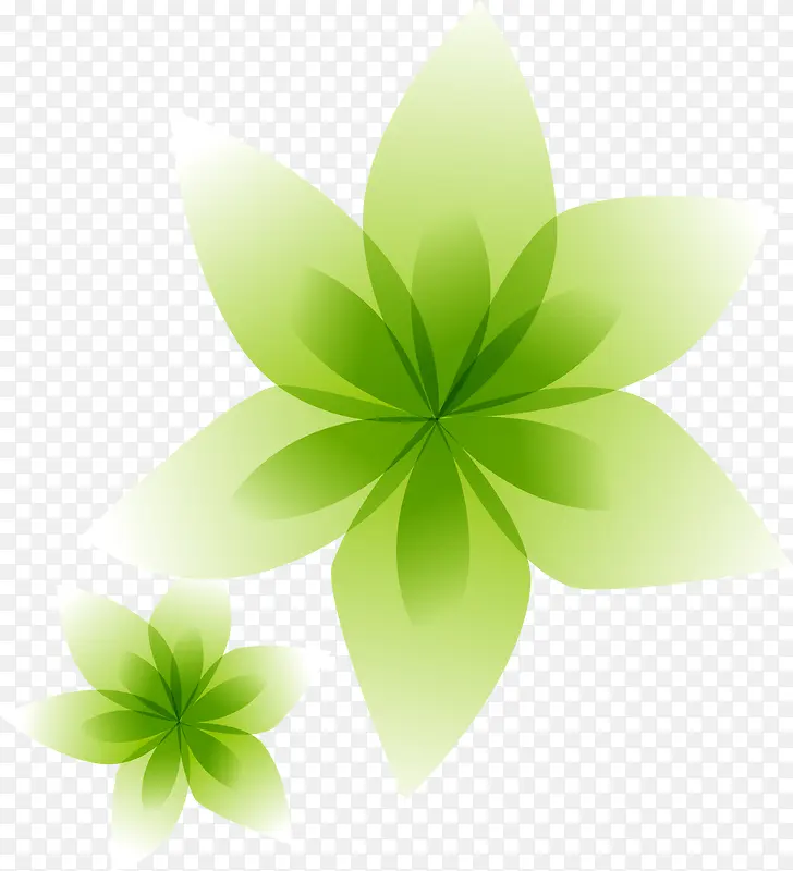 绿色花朵漂浮