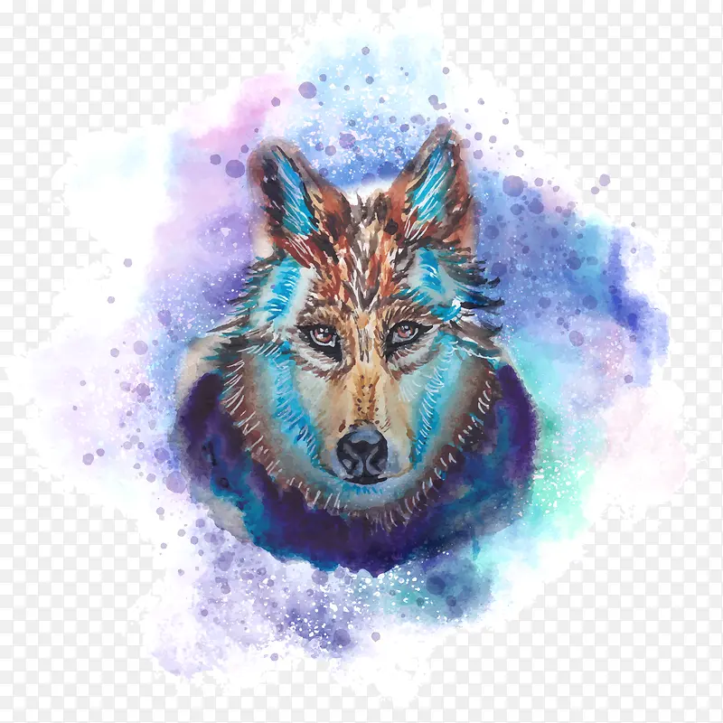 矢量狼王