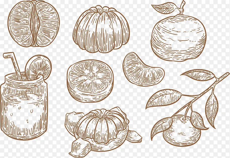 手绘素描柚子水果