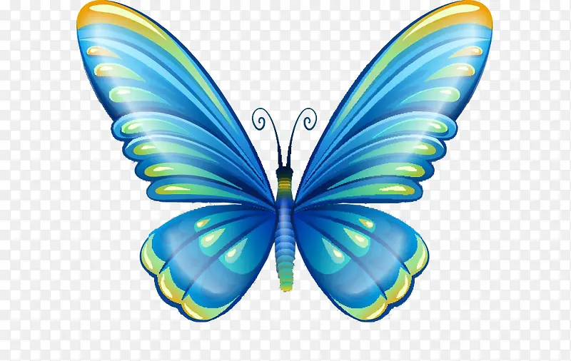精美的蓝色蝴蝶