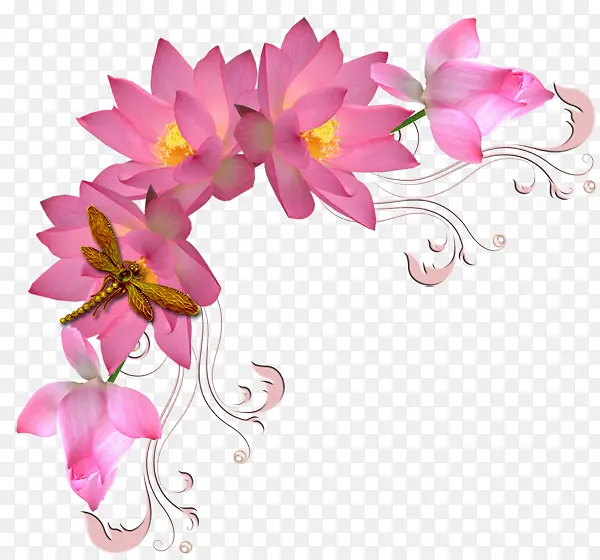 粉红莲花边框