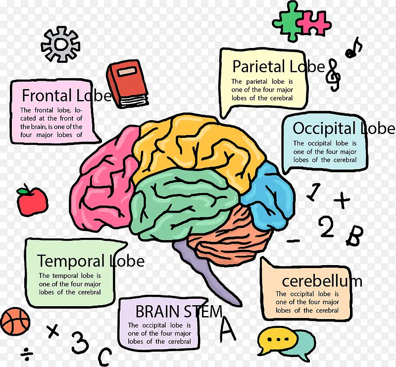手绘彩色大脑分类标签