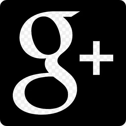 谷歌加社交的标识图标