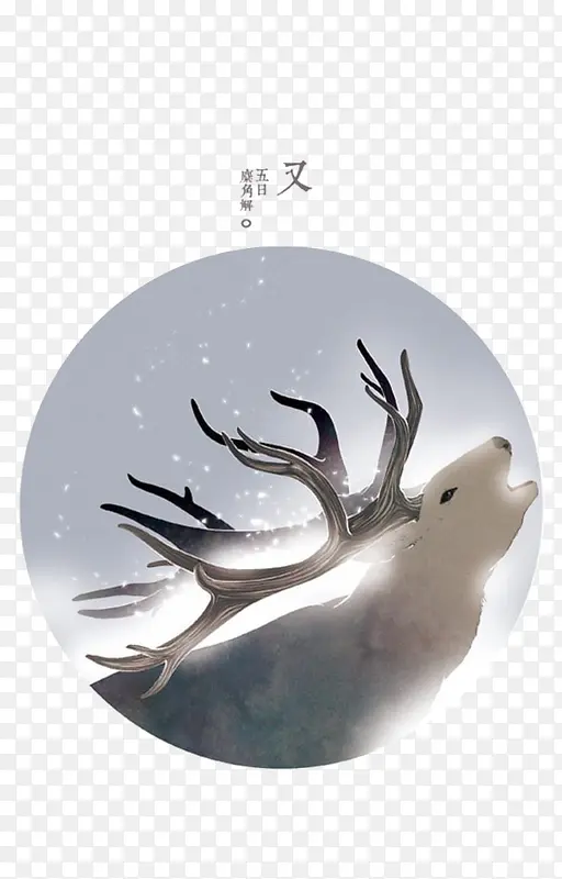 二十四节气之七十二候