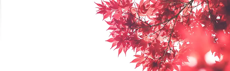 简约淘宝女鞋海报banner