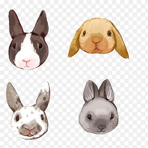 小兔子各种表情头像手绘