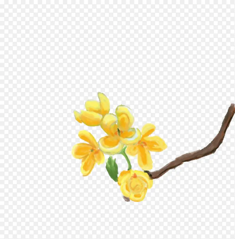 黄色桂花
