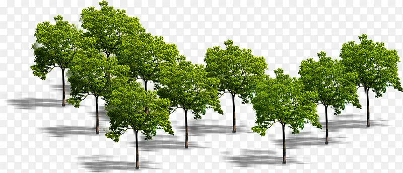 绿色创意大树布局