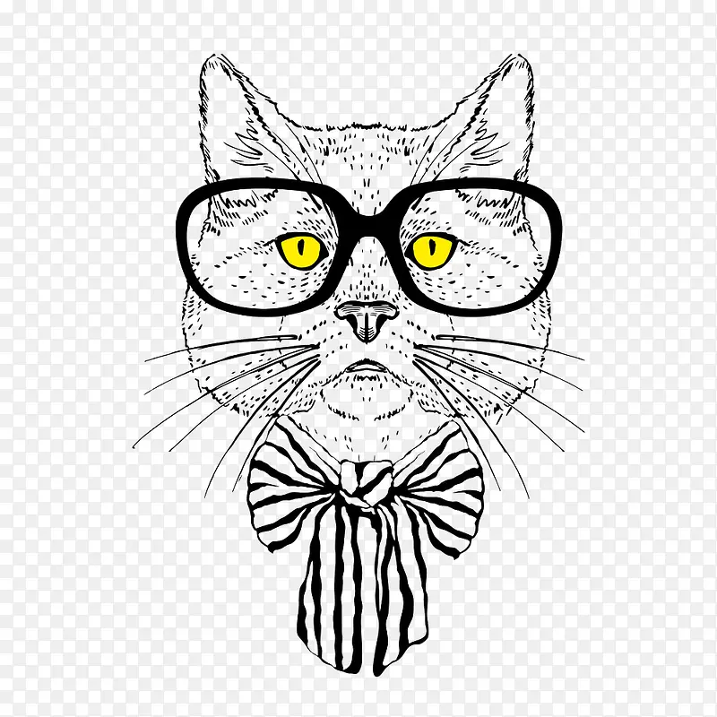 手绘猫咪图案