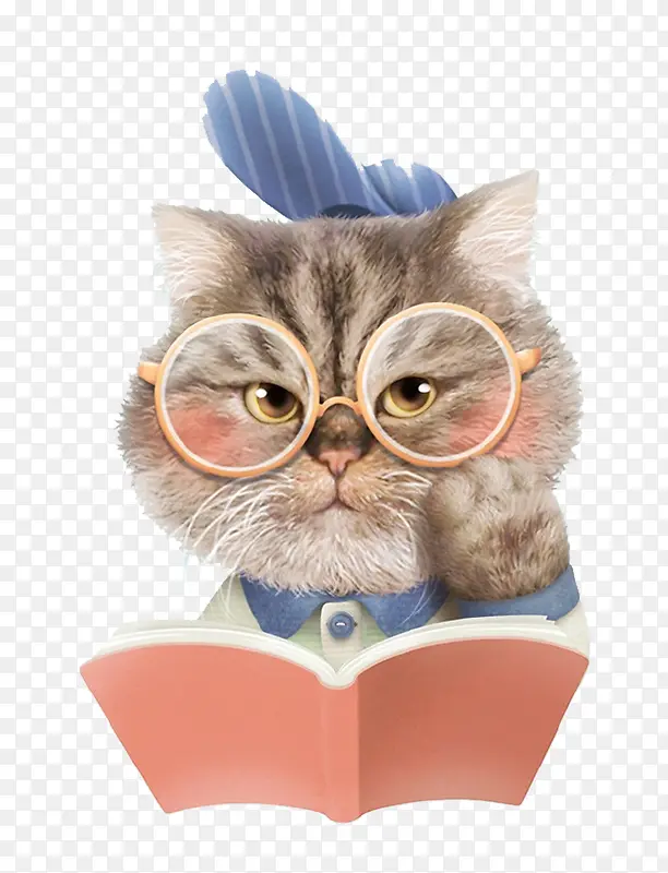 卡通看书小猫