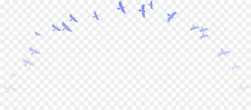 紫色喜鹊燕子鸟类