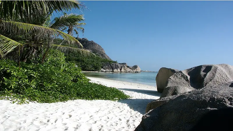 椰树礁石海边沙滩