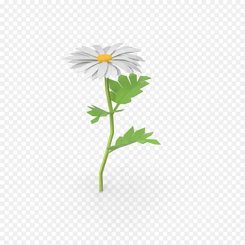 多边形雏菊