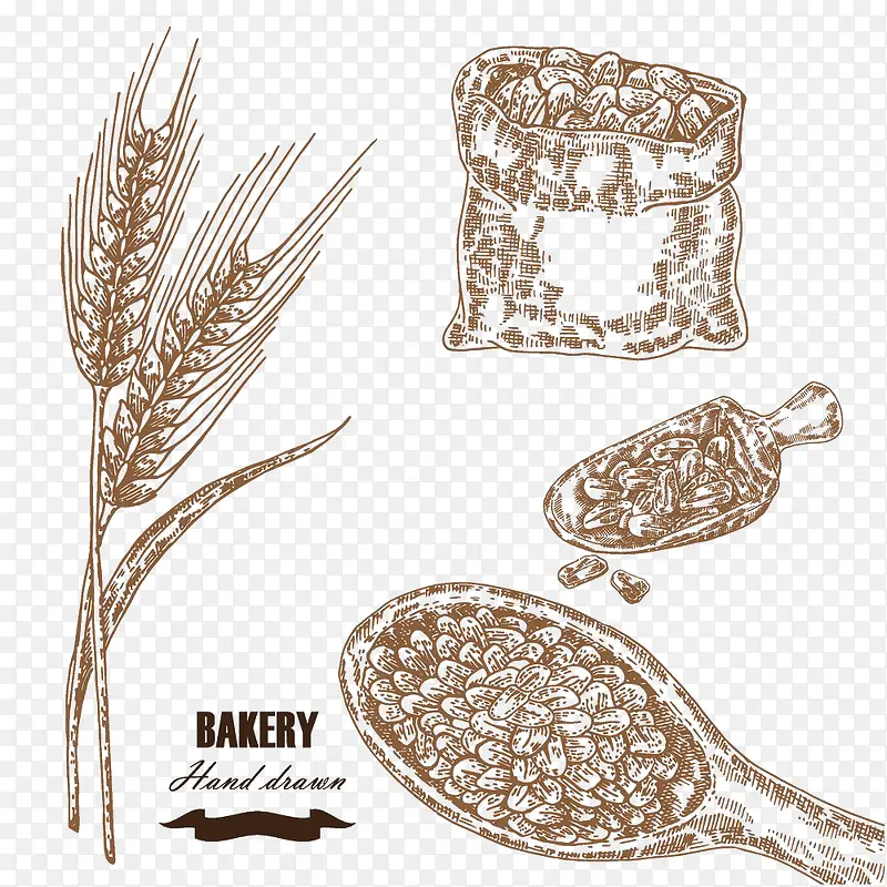 小麦与麦片插画