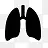 肺脏小图标