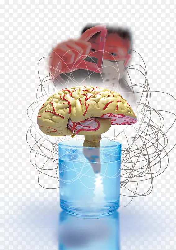 大脑水杯科研实验化学