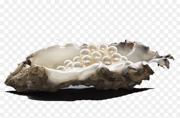 海螺里的珍珠