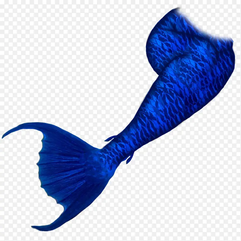 深蓝色漂亮美人鱼尾巴