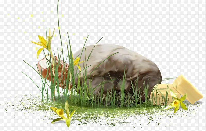花丛中的石头