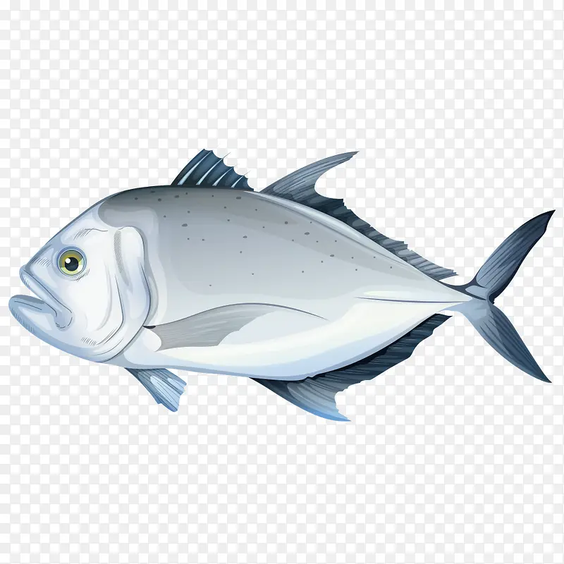 灰色海鱼