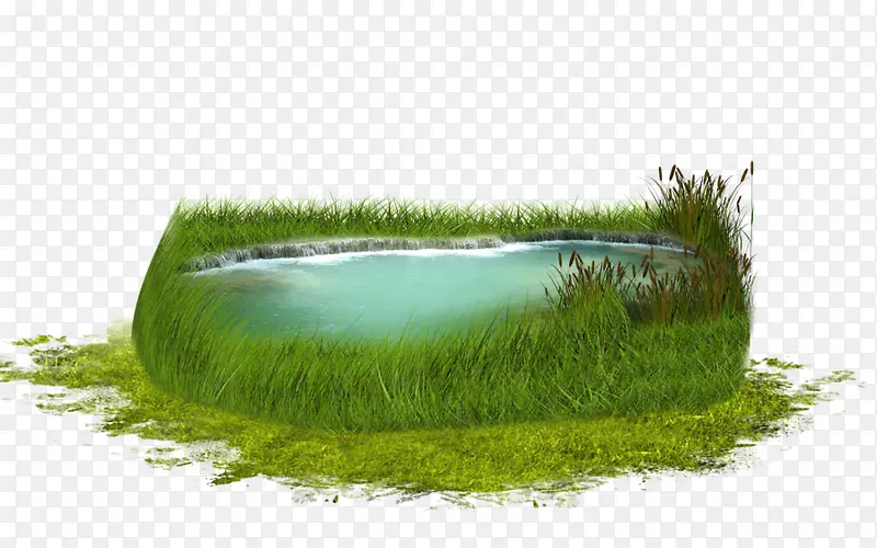 绿草地围成的池塘