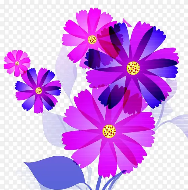 粉紫色鸡冠花