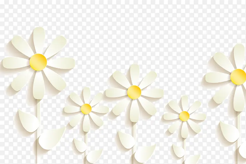 白色浮雕立体花