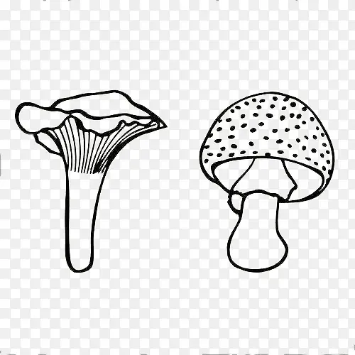 木耳蘑菇手绘