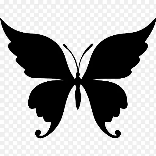蝴蝶美丽的形状图标