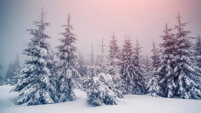 冬日极光美景雪地