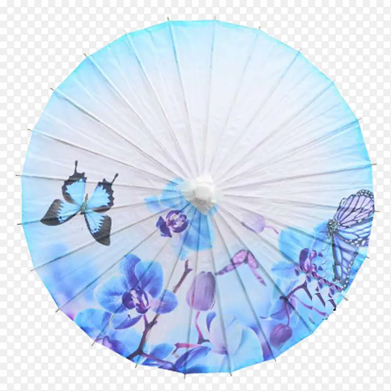 浅蓝色紫蝴蝶伞