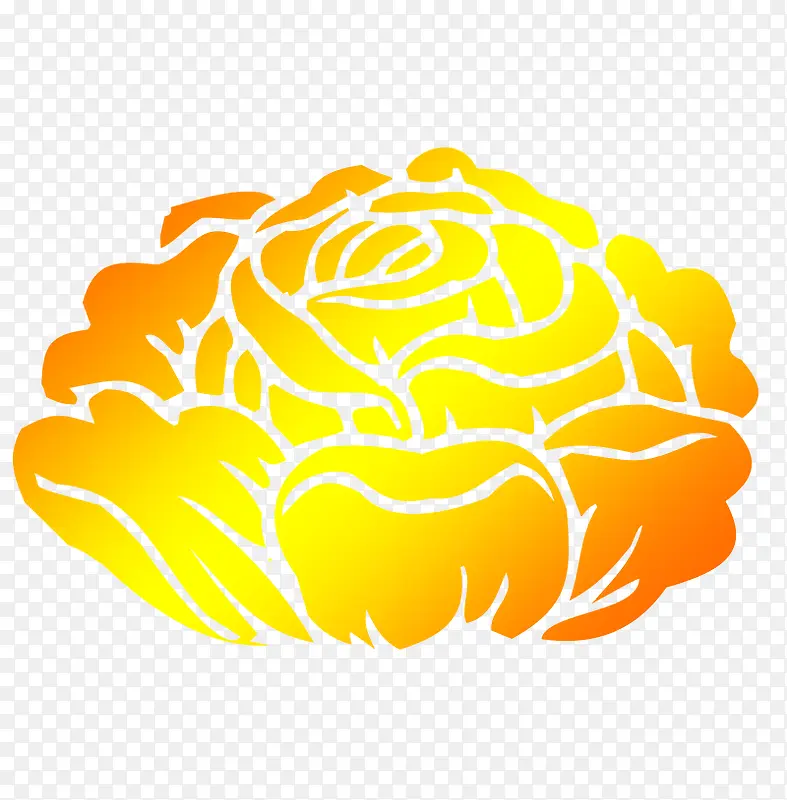 富贵 牡丹花