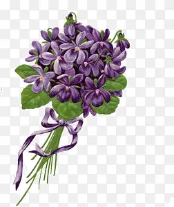 紫色的花束