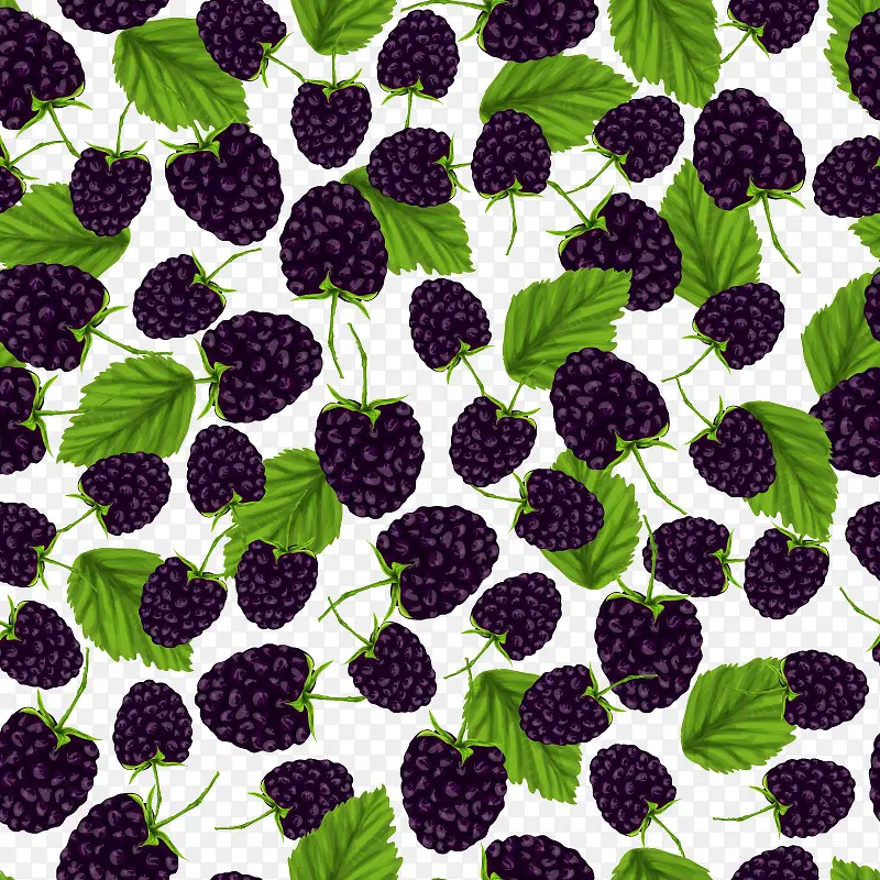 新鲜黑莓无缝背景