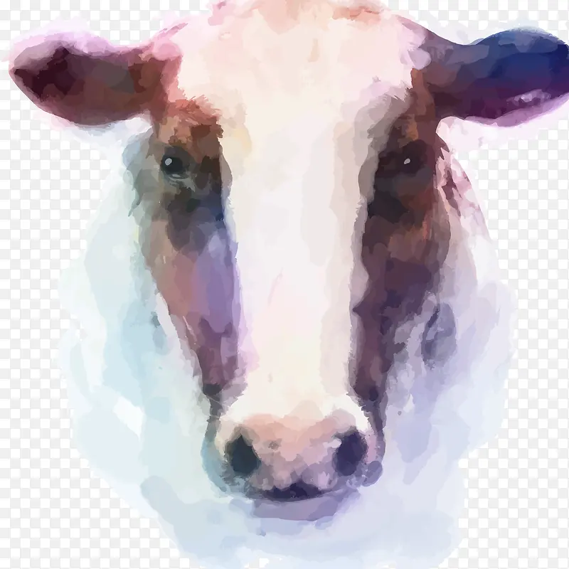 水彩彩绘牛