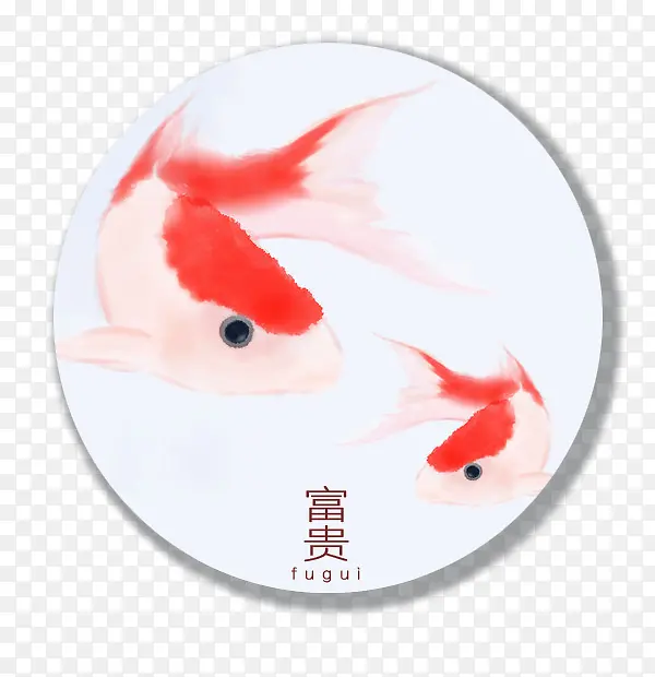 富贵鱼
