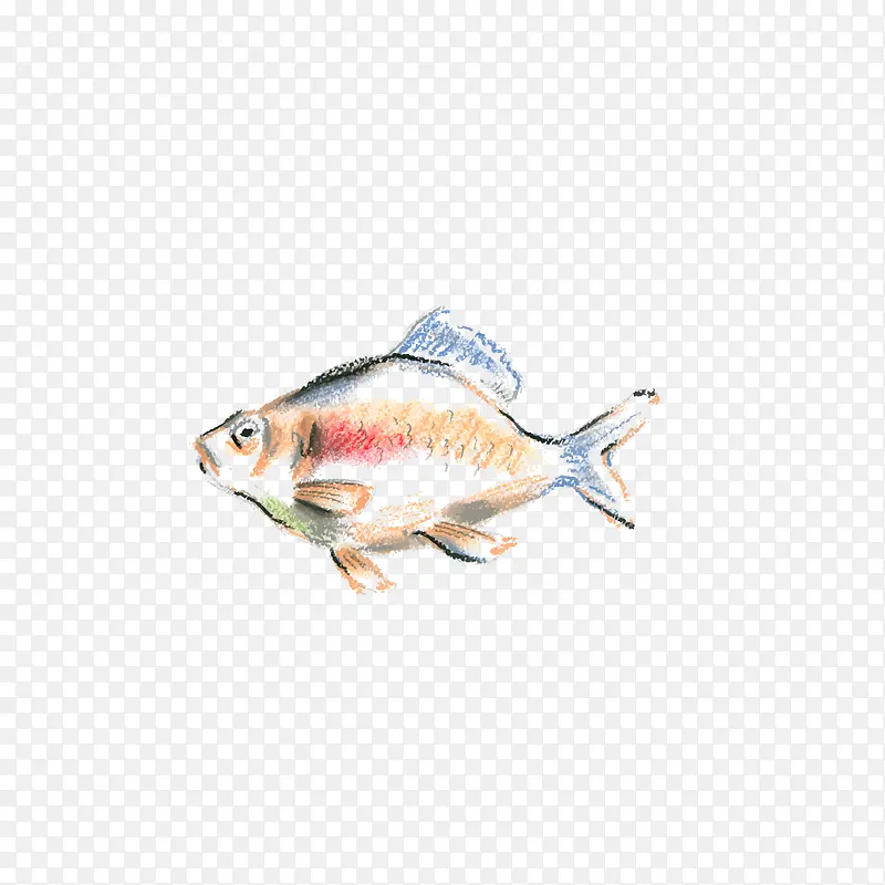彩绘鱼 插画