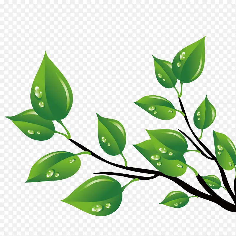 矢量艺术绿色植物