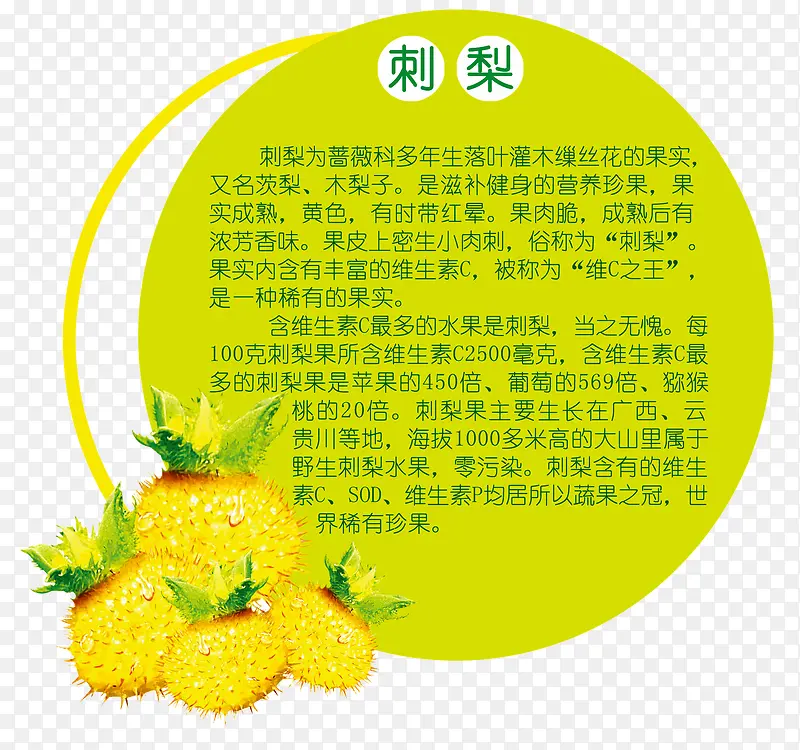 刺梨简介PNG图片素材下载_图片编号9235167-PNG素材网