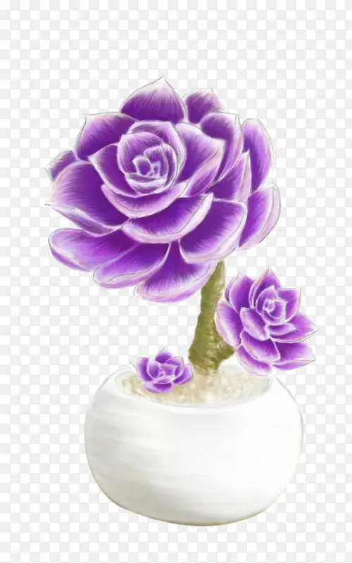 紫色花