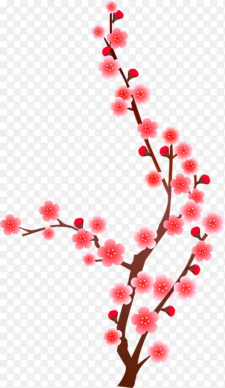 粉色中国风美丽花枝