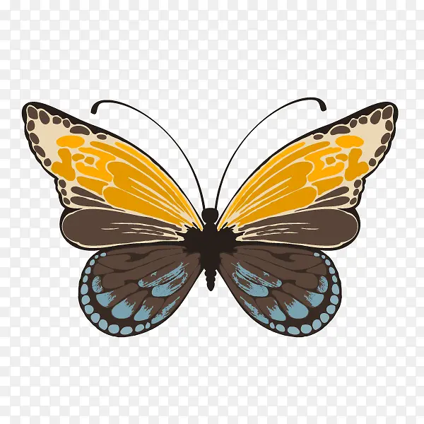 黄棕色拼接色蝴蝶图案