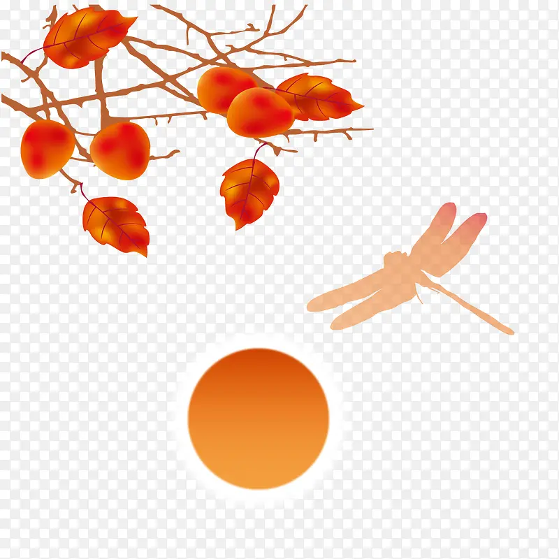 秋天的枫叶