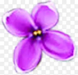 紫色模糊手绘花朵