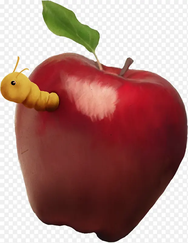 蛀虫苹果