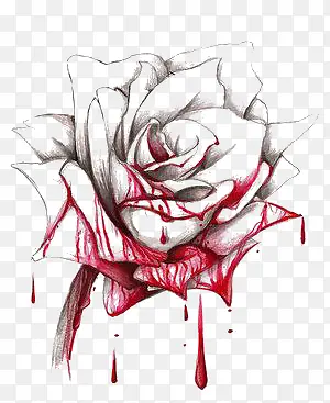 染血的玫瑰