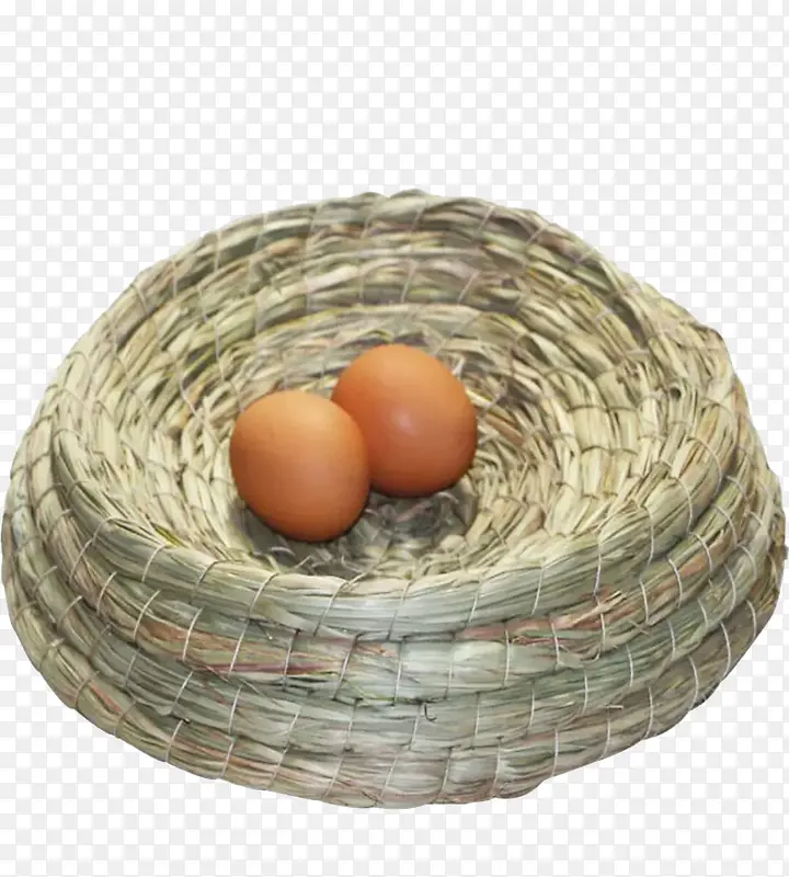 有两个鸡蛋的鸟窝